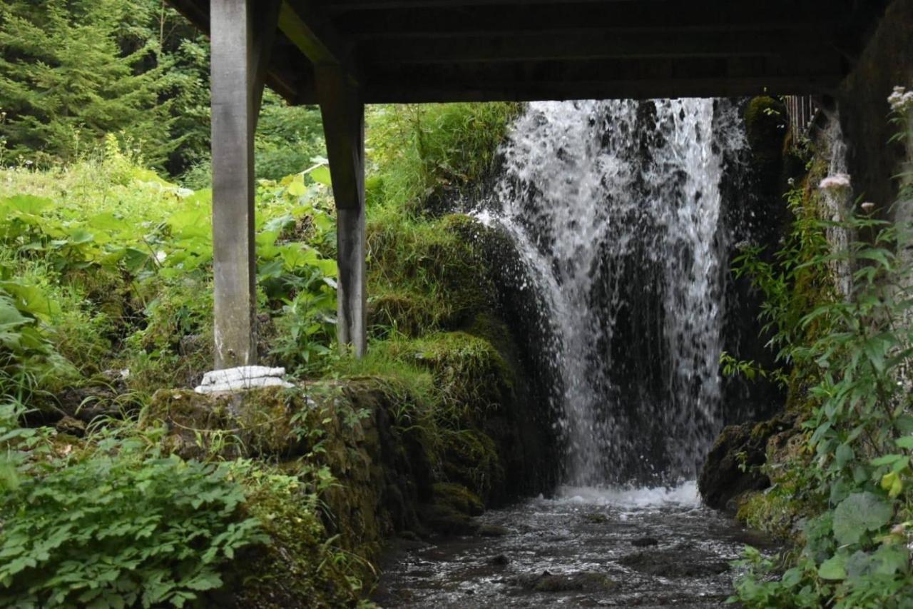 فيلا Wooden House With A Waterfall "Stipanov Mlin" Plitvička Jezera المظهر الخارجي الصورة